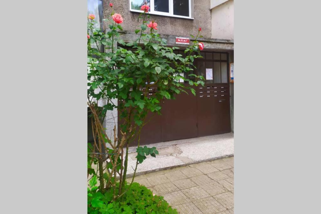Lovely City Center 1Bd, 1Bt Apartment Sofie Exteriér fotografie